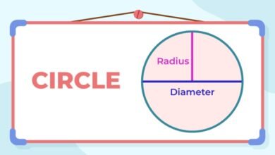 Understanding the Circle A Foundation for Radius Exploration